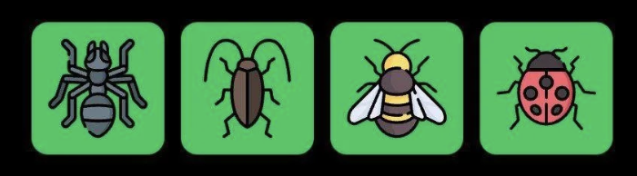 FLIES Daily Combo 1 May 2025